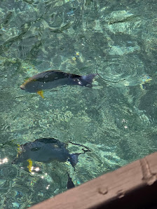 Adaaran Rannalhi Water Villas overwater villa — interior