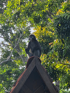 Berjaya Langkawi Resort overwater villa 2
