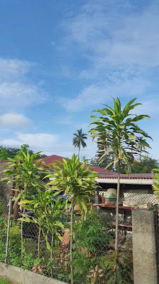 Bora Bora Holiday's Lodge & Villa overwater villa 3