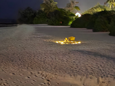 Emerald Maldives Resort & Spa overwater villa — interior