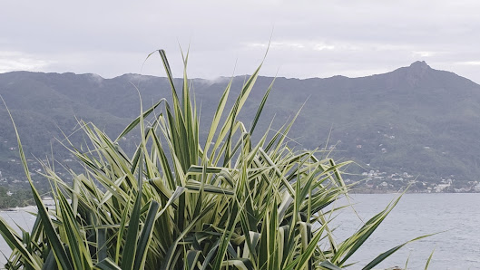 Hilton Seychelles Northolme Resort & Spa overwater villa 2