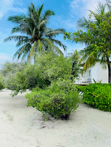 Holiday Inn Resort Kandooma Maldives by IHG overwater villa 5