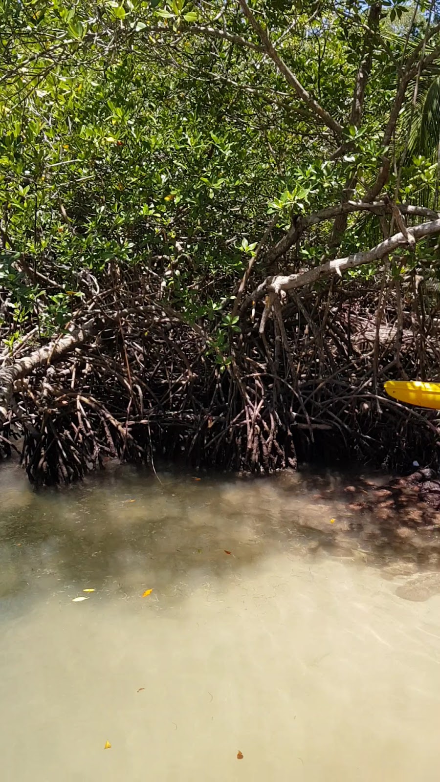 Eclypse de Mar Acqua Lodge overwater villa — lagoon