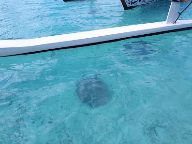 Hotel Matira overwater villa 5