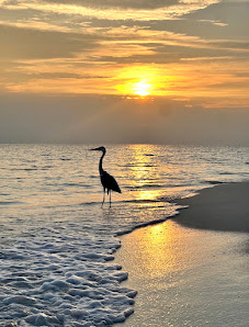 Kandolhu Maldives overwater villa 2