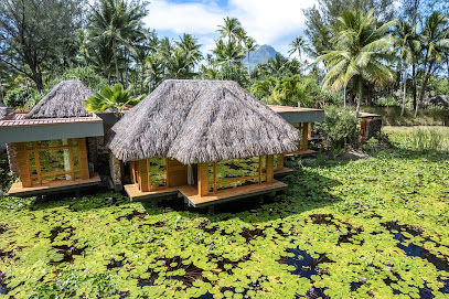Le Bora Bora by Pearl Resorts overwater accommodation
