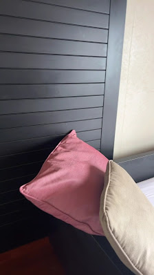 Lily Beach Water Villas overwater villa 5