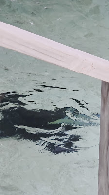 Meeru Jacuzzi Water Villas overwater villa 2