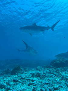 Park Hyatt Maldives Hadahaa overwater villa — interior