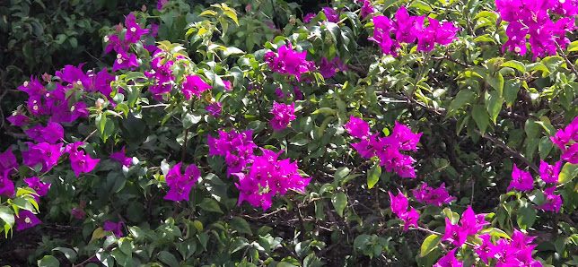 Royalton Antigua, An Autograph Collection All-Inclusive Resort overwater villa 2