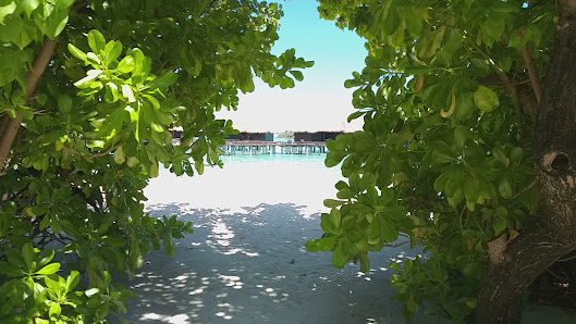 Sheraton Maldives Full Moon Resort & Spa overwater villa — lagoon