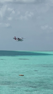 Sun Aqua Vilu Reef - Aqua Villa with Pool overwater villa 3