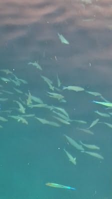 Sun Siyam Olhuveli overwater villa 2