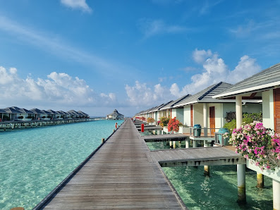 Water Bungalow overwater villa — lagoon