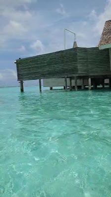 Water Pool Villa overwater villa 3